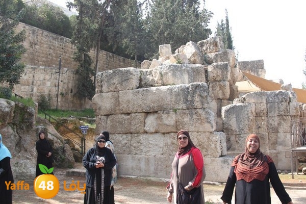 3emwas 0319 (24).JPG